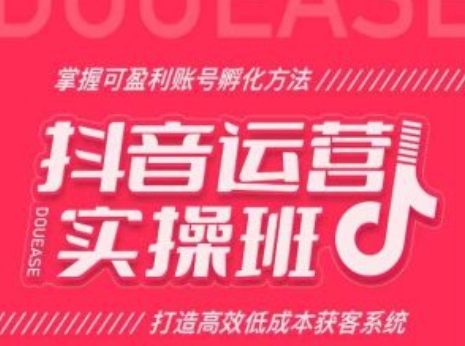 抖音运营实操班，掌握可盈利账号孵化方法，打造高效低成本获客系统 - 白戈学堂-<a href=