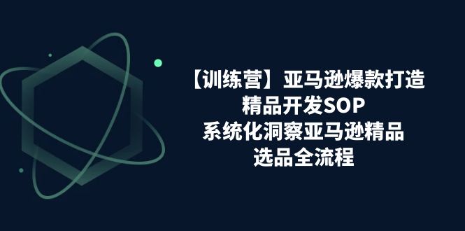 亚马逊爆款打造之精品开发SOP【训练营】，系统化洞察亚马逊精品选品全流程 - 白戈学堂-<a href=