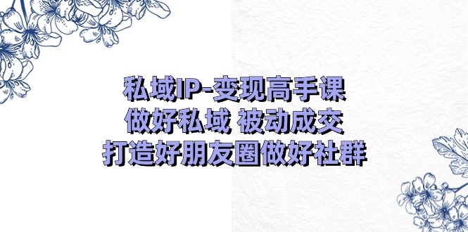 私域IP变现高手课：做好私域被动成交，打造好朋友圈做好社群（18节） - 白戈学堂-<a href=