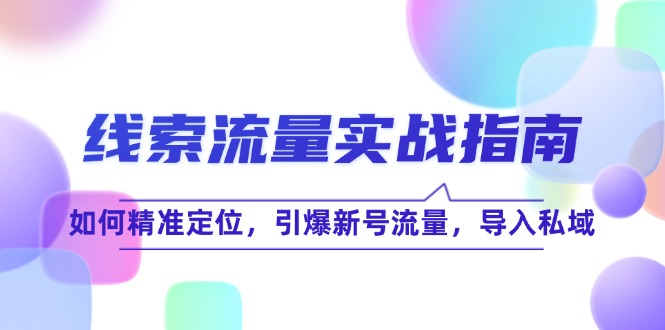 （12382期）线 索 流 量-实战指南：如何精准定位，引爆新号流量，导入私域 - 白戈学堂-白戈学堂