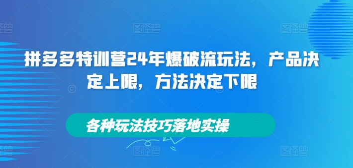 拼多多特训营24年爆破流玩法，产品决定上限，方法决定下限，各种玩法技巧落地实操 - 白戈学堂-白戈学堂