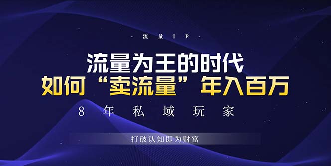 （13433期）未来如何通过“卖流量”年入百万，跨越一切周期绝对蓝海项目 - 白戈学堂-白戈学堂