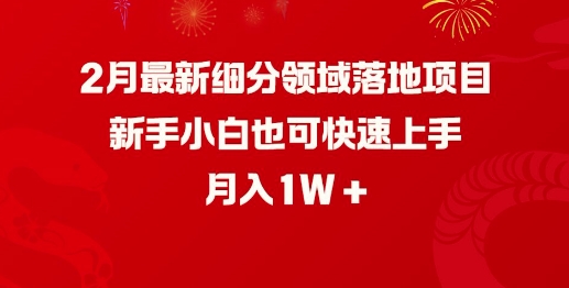 2月最新细分领域落地项目，新手小白也可快速上手，月入1W-白戈学堂